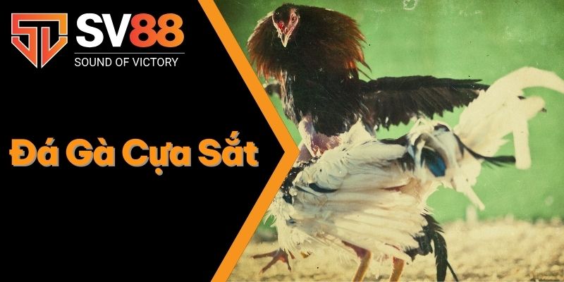 Đá Gà Cựa Sắt