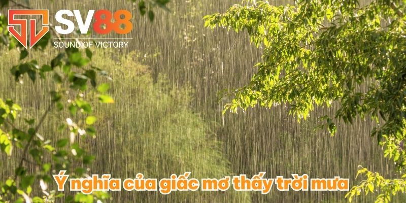 Ý nghĩa của giấc mơ thấy trời mưa